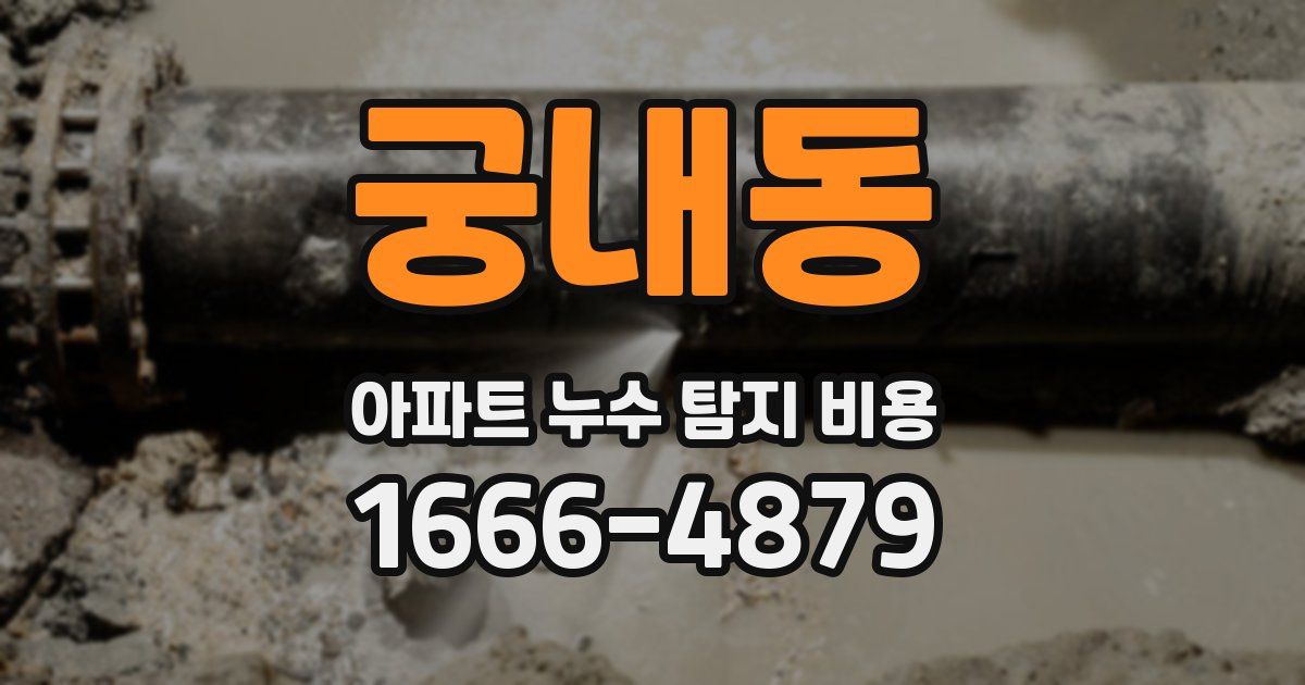 궁내동 아파트 누수 탐지 비용