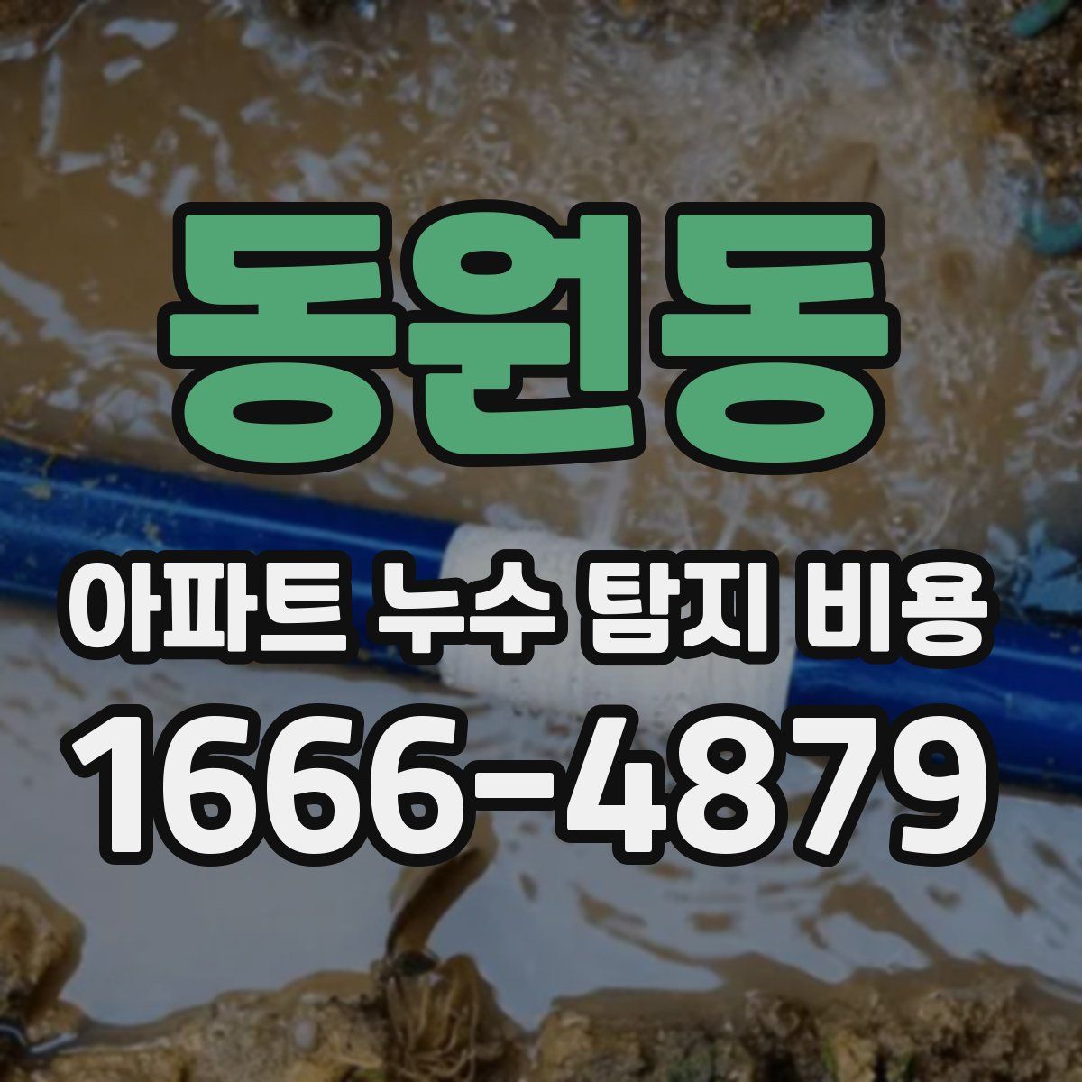 동원동 아파트 누수 탐지 비용