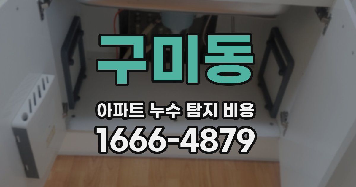 구미동 아파트 누수 탐지 비용