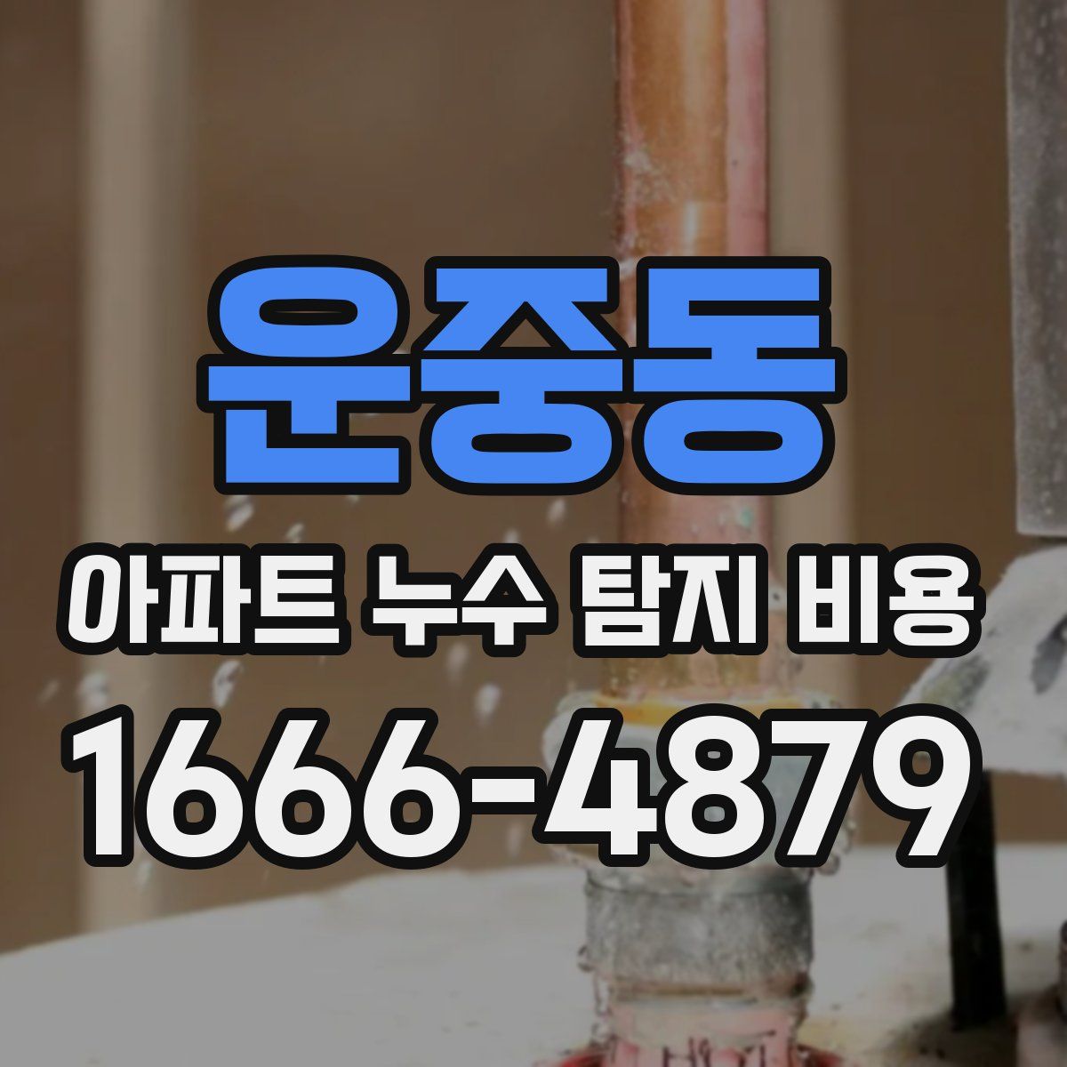 운중동 아파트 누수 탐지 비용