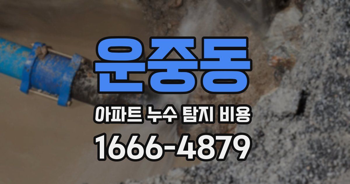 운중동 아파트 누수 탐지 비용