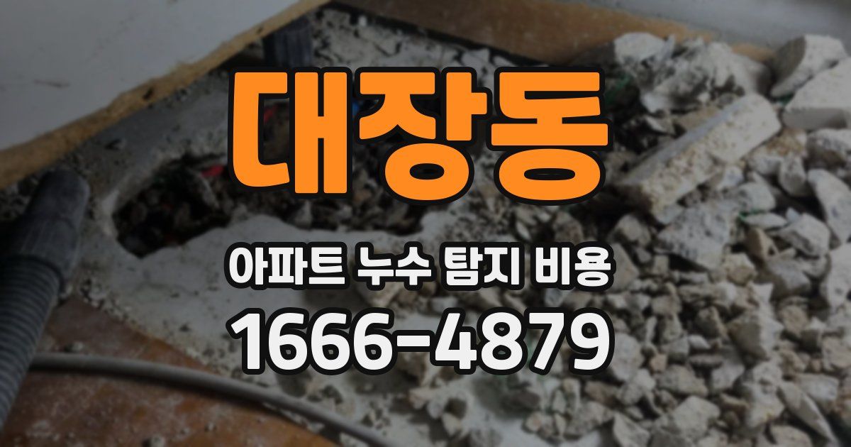 대장동 아파트 누수 탐지 비용