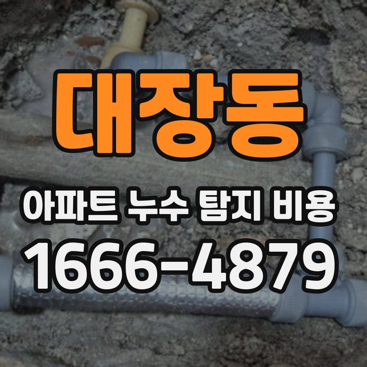 대장동 아파트 누수 탐지 비용