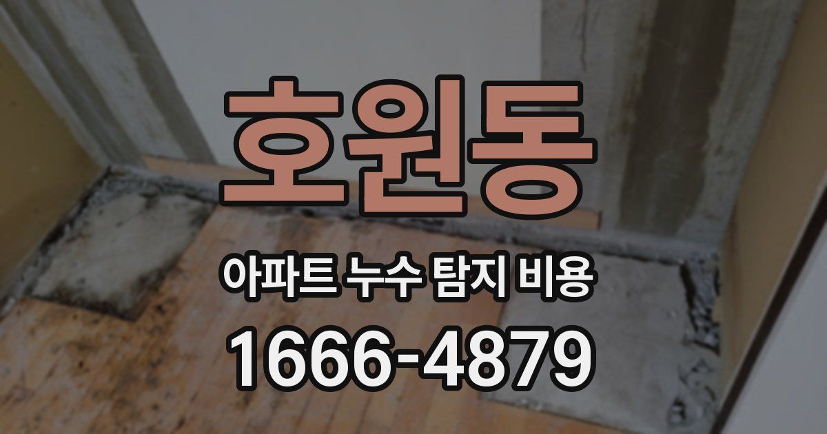 호원동 아파트 누수 탐지 비용