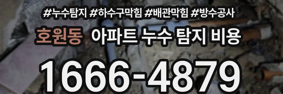 호원동 아파트 누수 탐지 비용