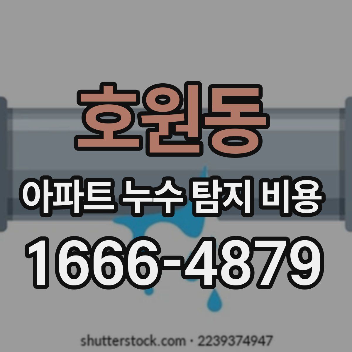 호원동 아파트 누수 탐지 비용