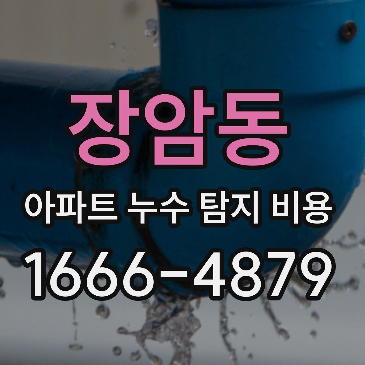 장암동 아파트 누수 탐지 비용