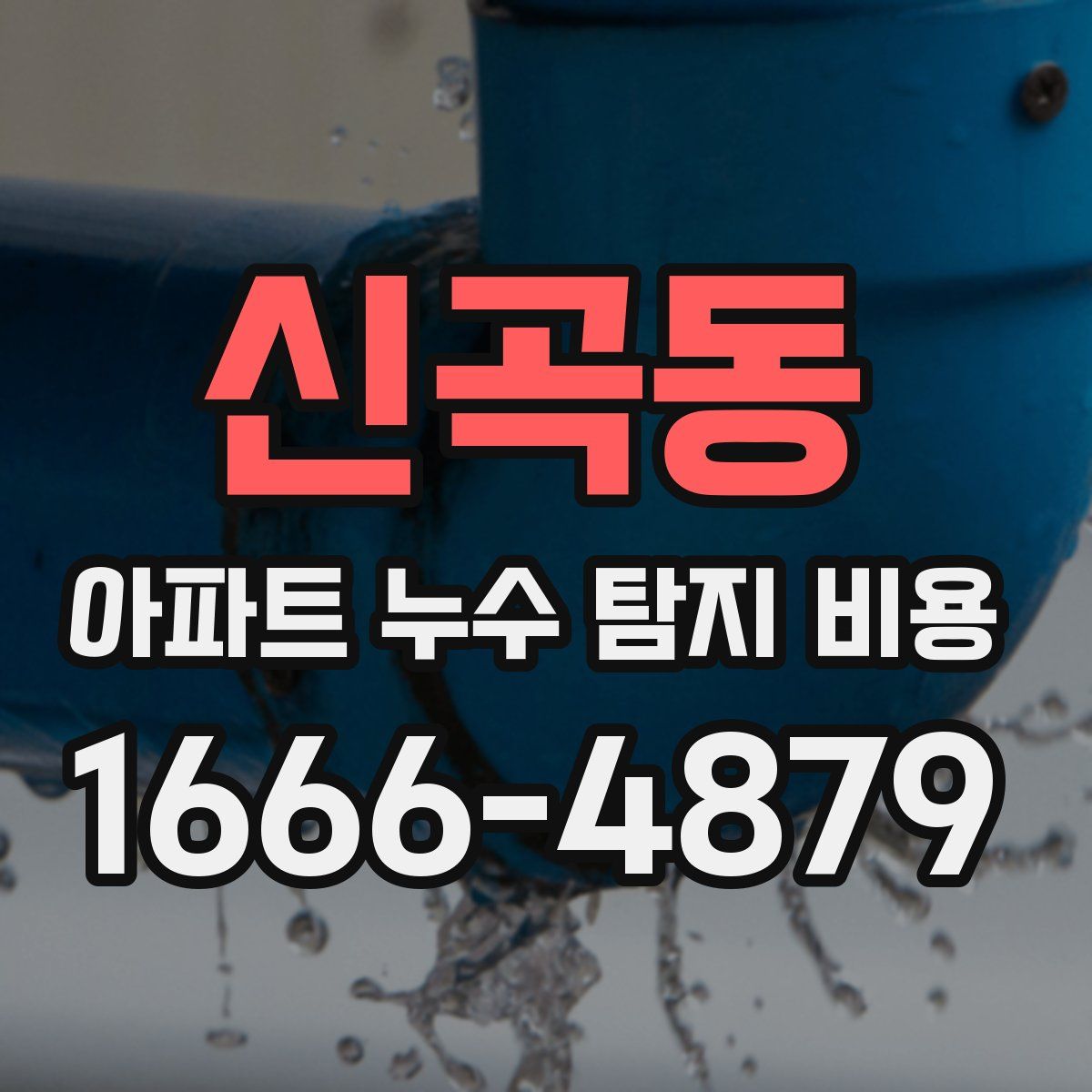 신곡동 아파트 누수 탐지 비용