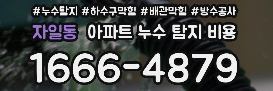 자일동 아파트 누수 탐지 비용