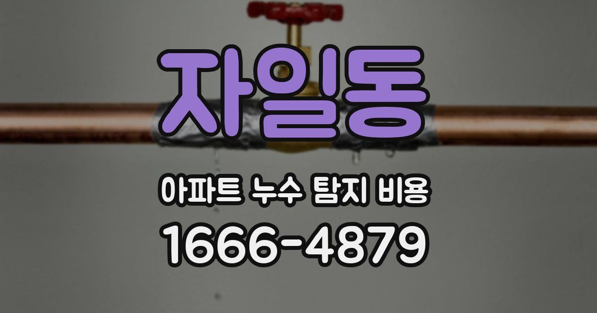 자일동 아파트 누수 탐지 비용