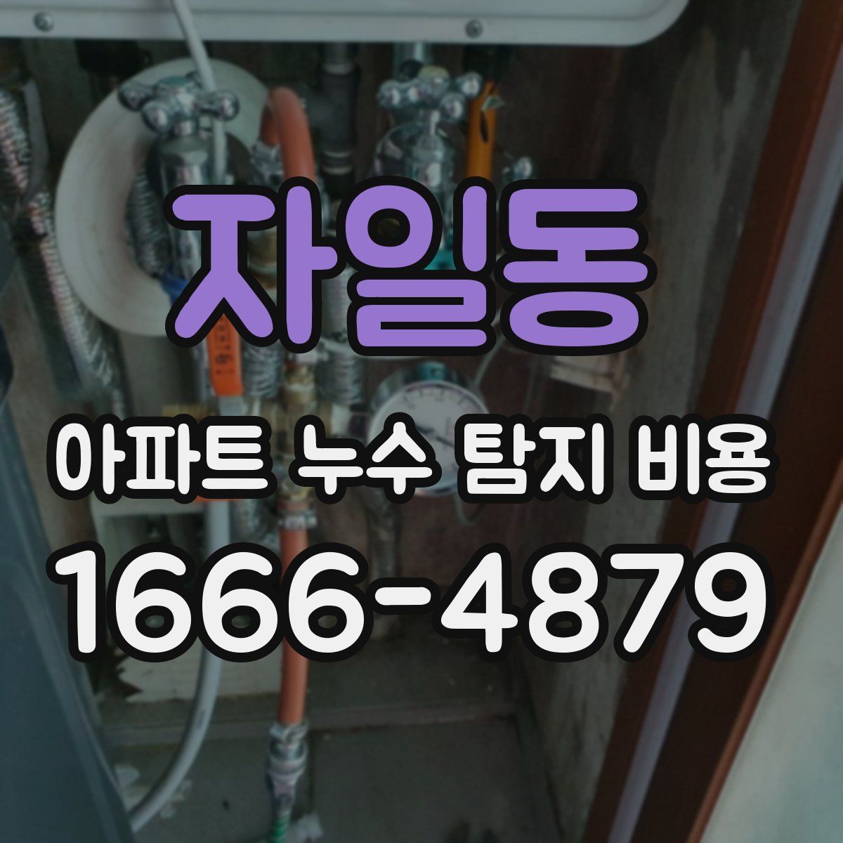 자일동 아파트 누수 탐지 비용