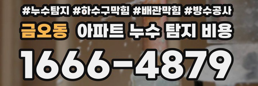 금오동 아파트 누수 탐지 비용