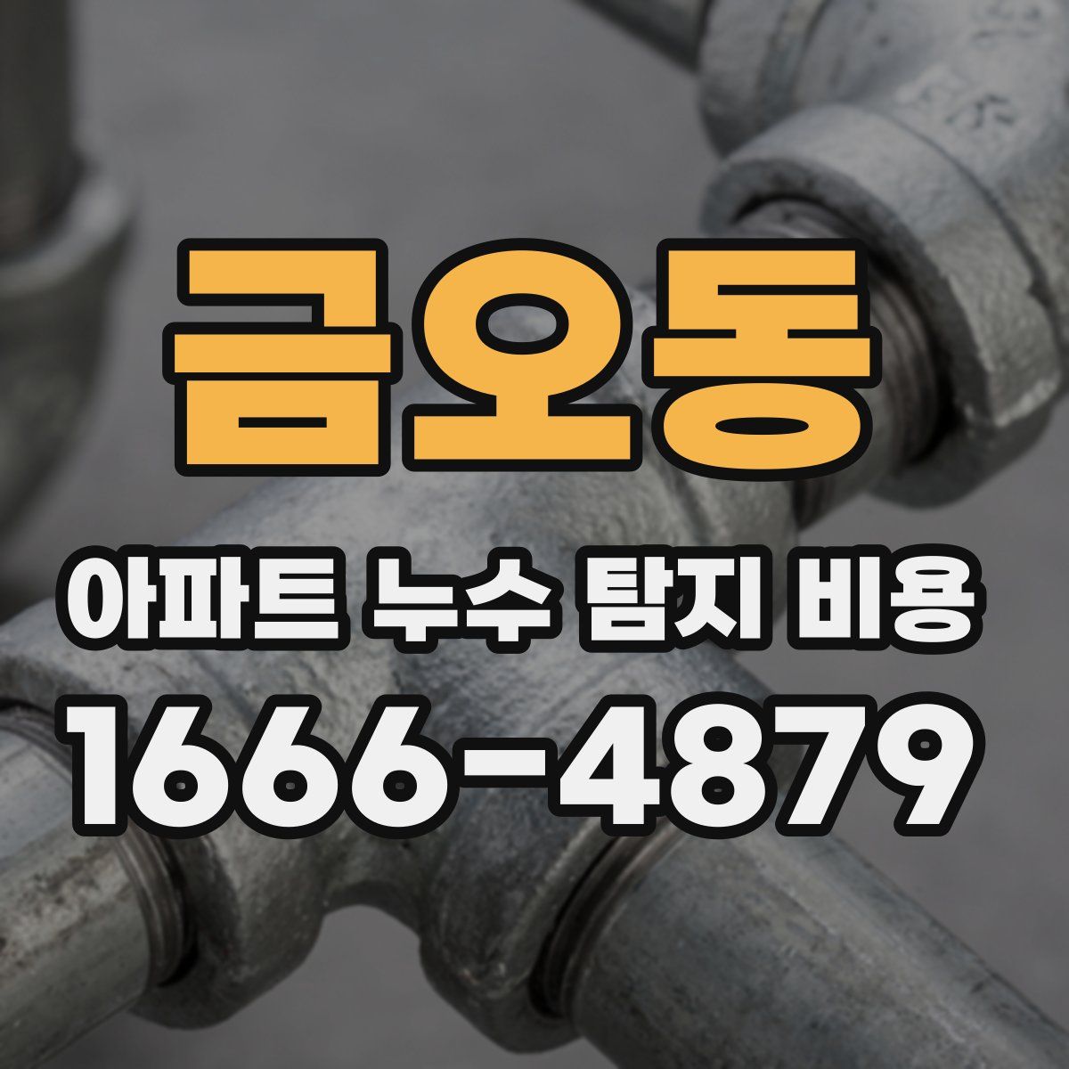 금오동 아파트 누수 탐지 비용