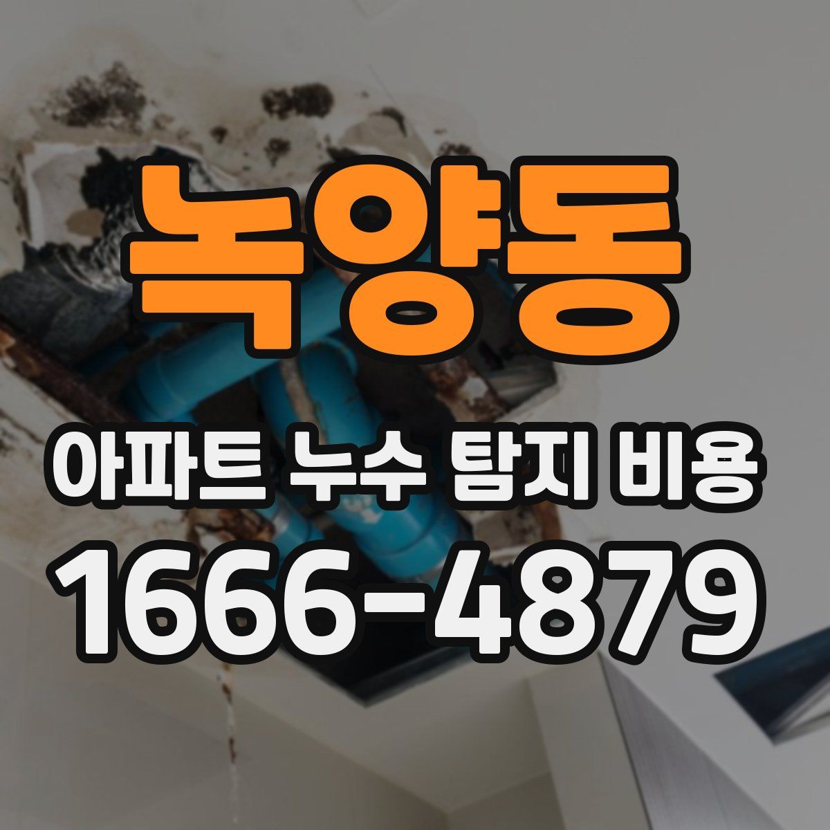 녹양동 아파트 누수 탐지 비용