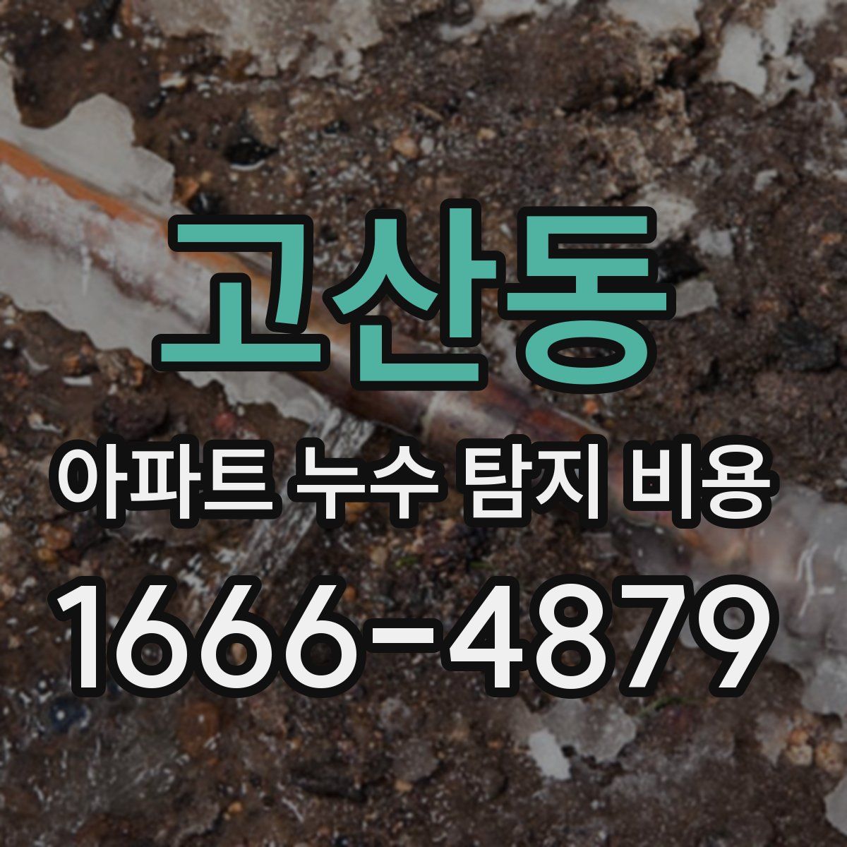 고산동 아파트 누수 탐지 비용