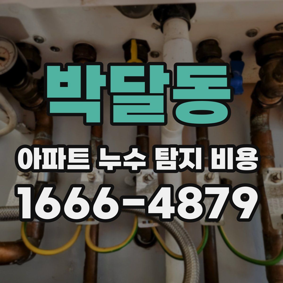 박달동 아파트 누수 탐지 비용