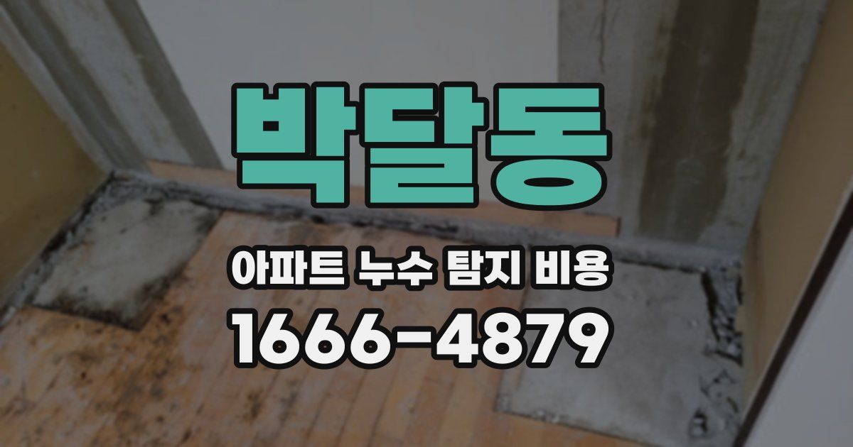 박달동 아파트 누수 탐지 비용
