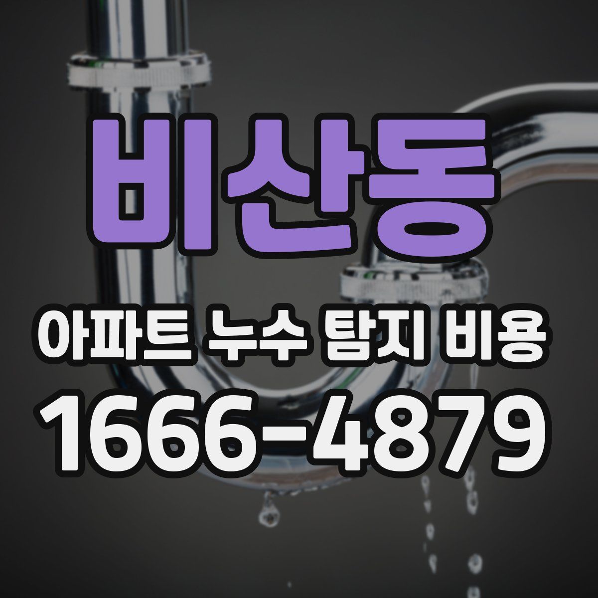 비산동 아파트 누수 탐지 비용