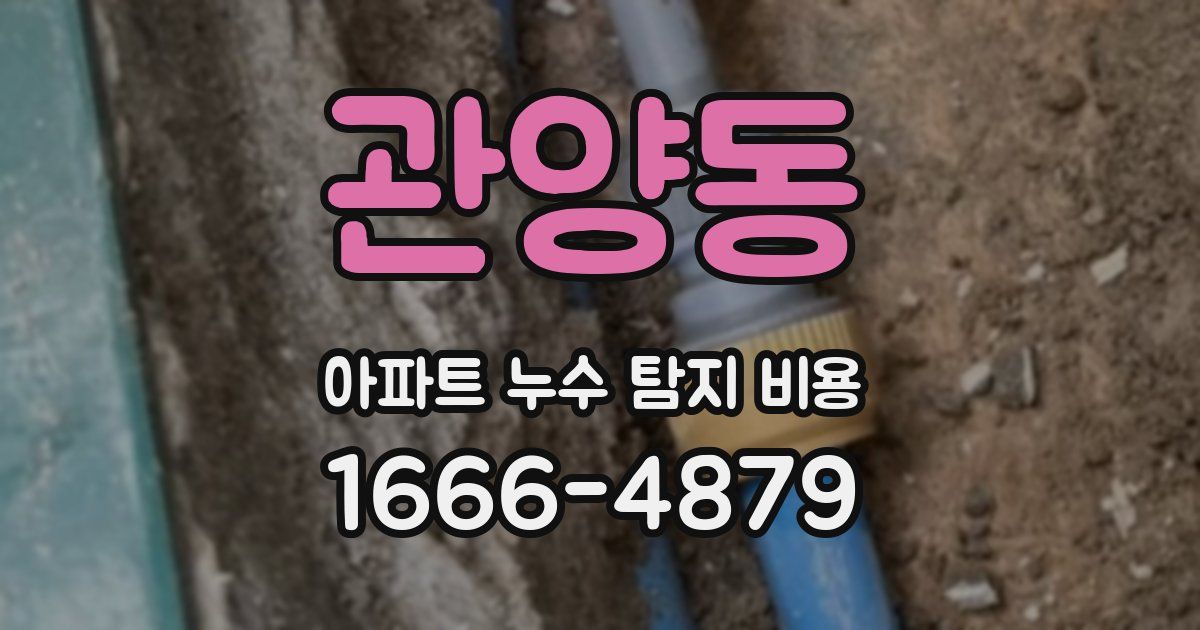 관양동 아파트 누수 탐지 비용
