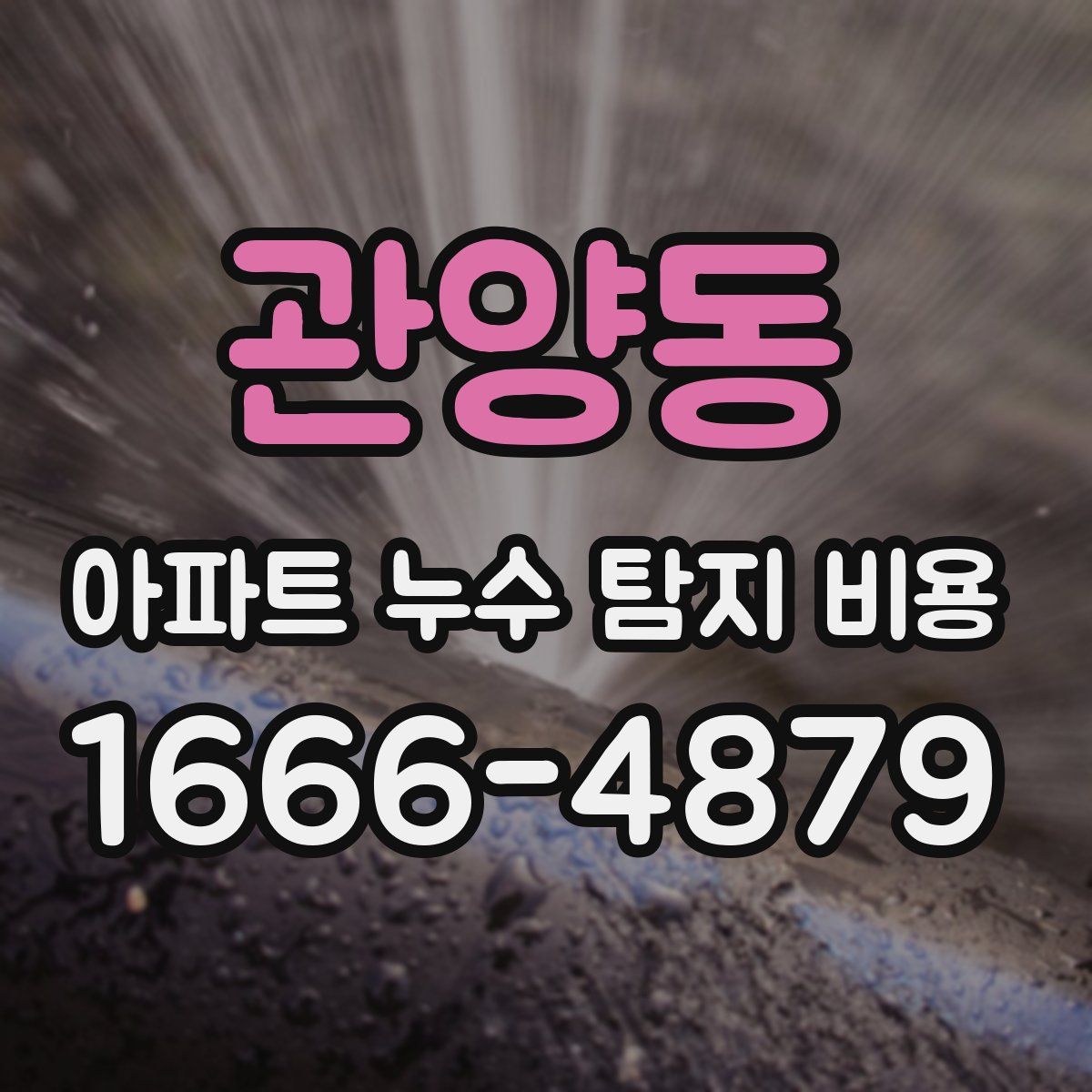 관양동 아파트 누수 탐지 비용