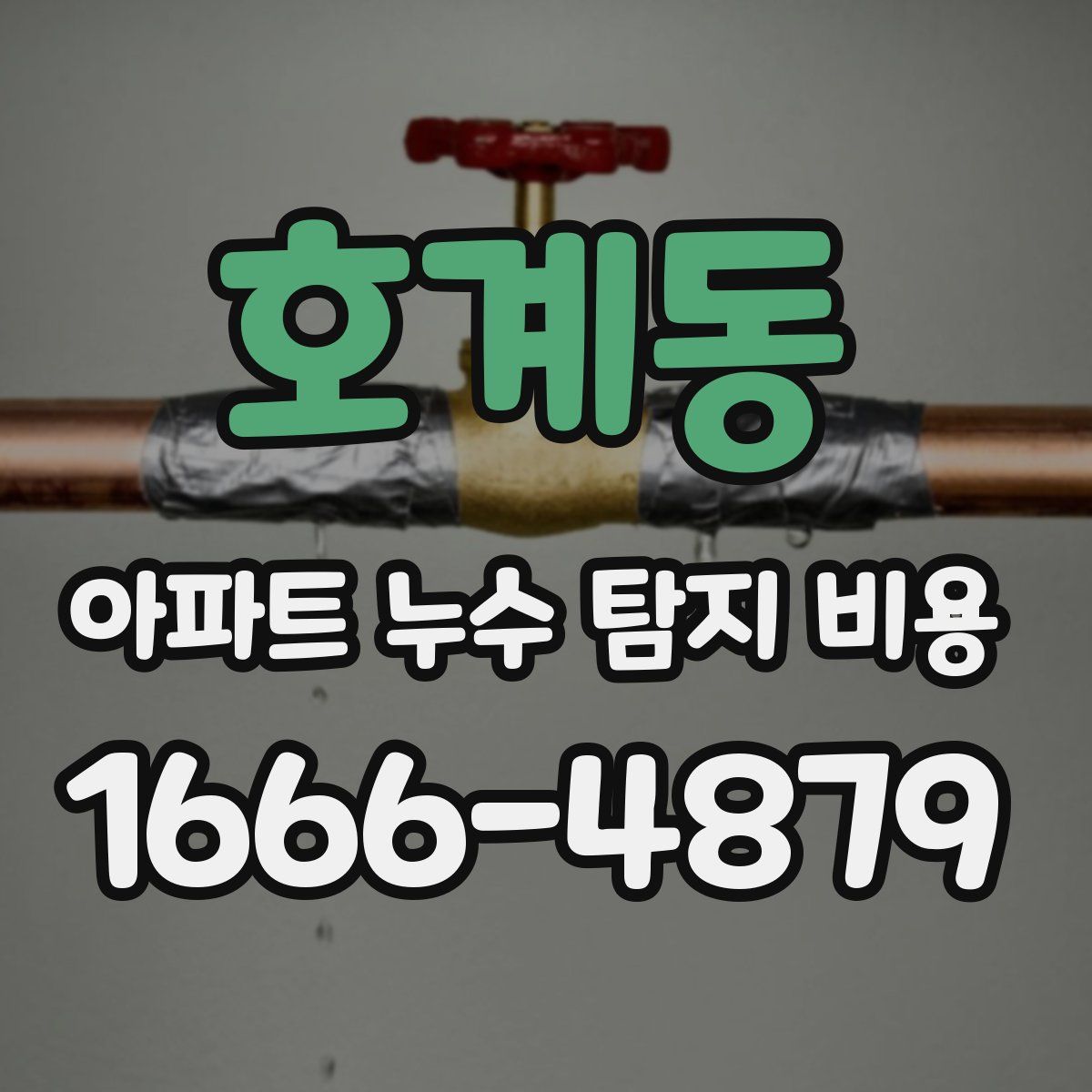 호계동 아파트 누수 탐지 비용