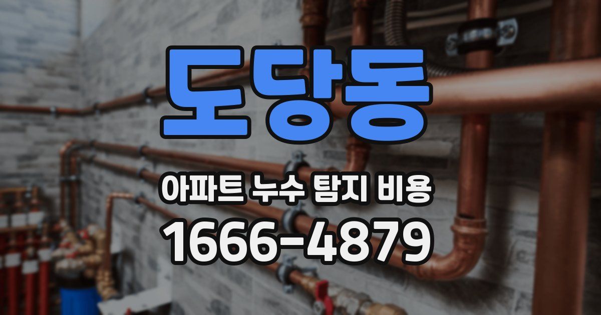 도당동 아파트 누수 탐지 비용