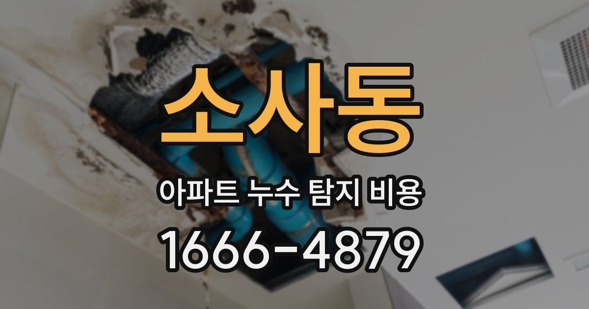 소사동 아파트 누수 탐지 비용