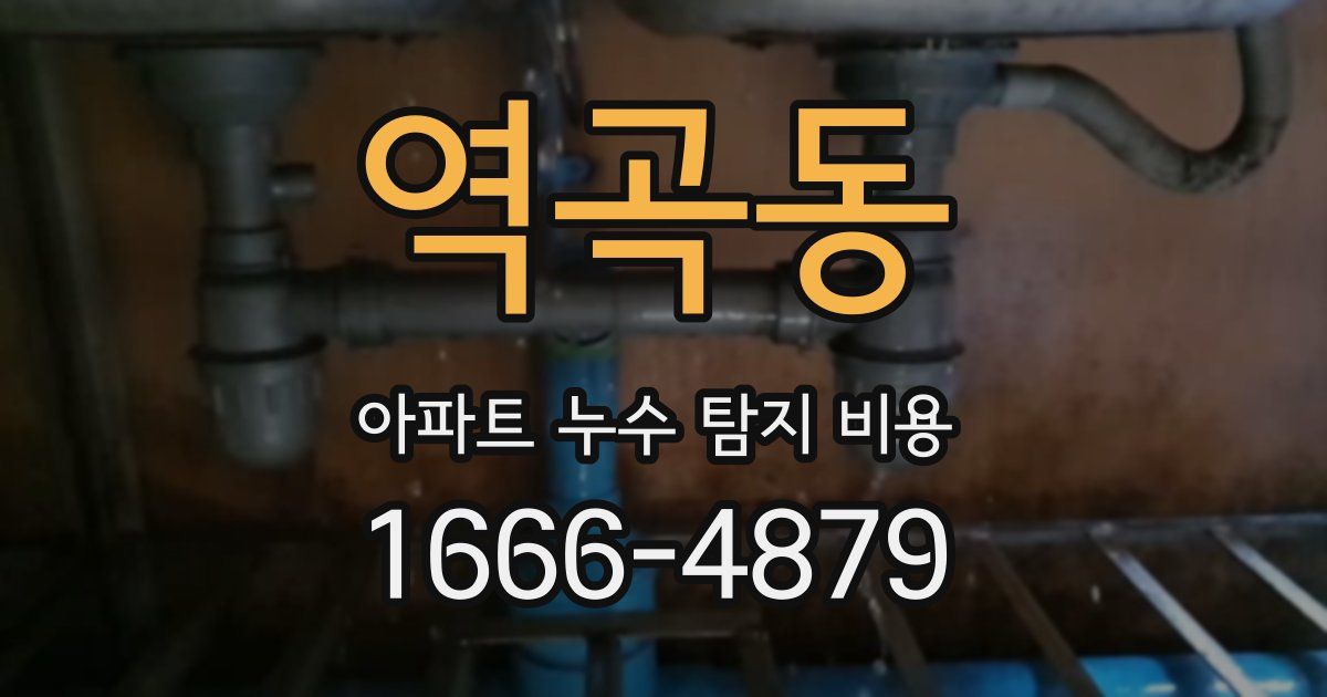 역곡동 아파트 누수 탐지 비용