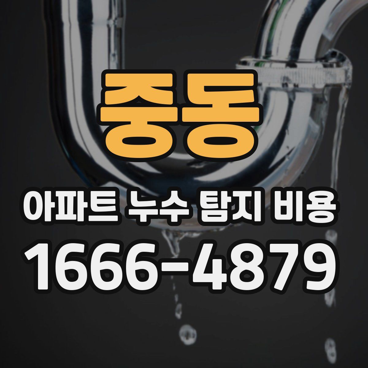 중동 아파트 누수 탐지 비용