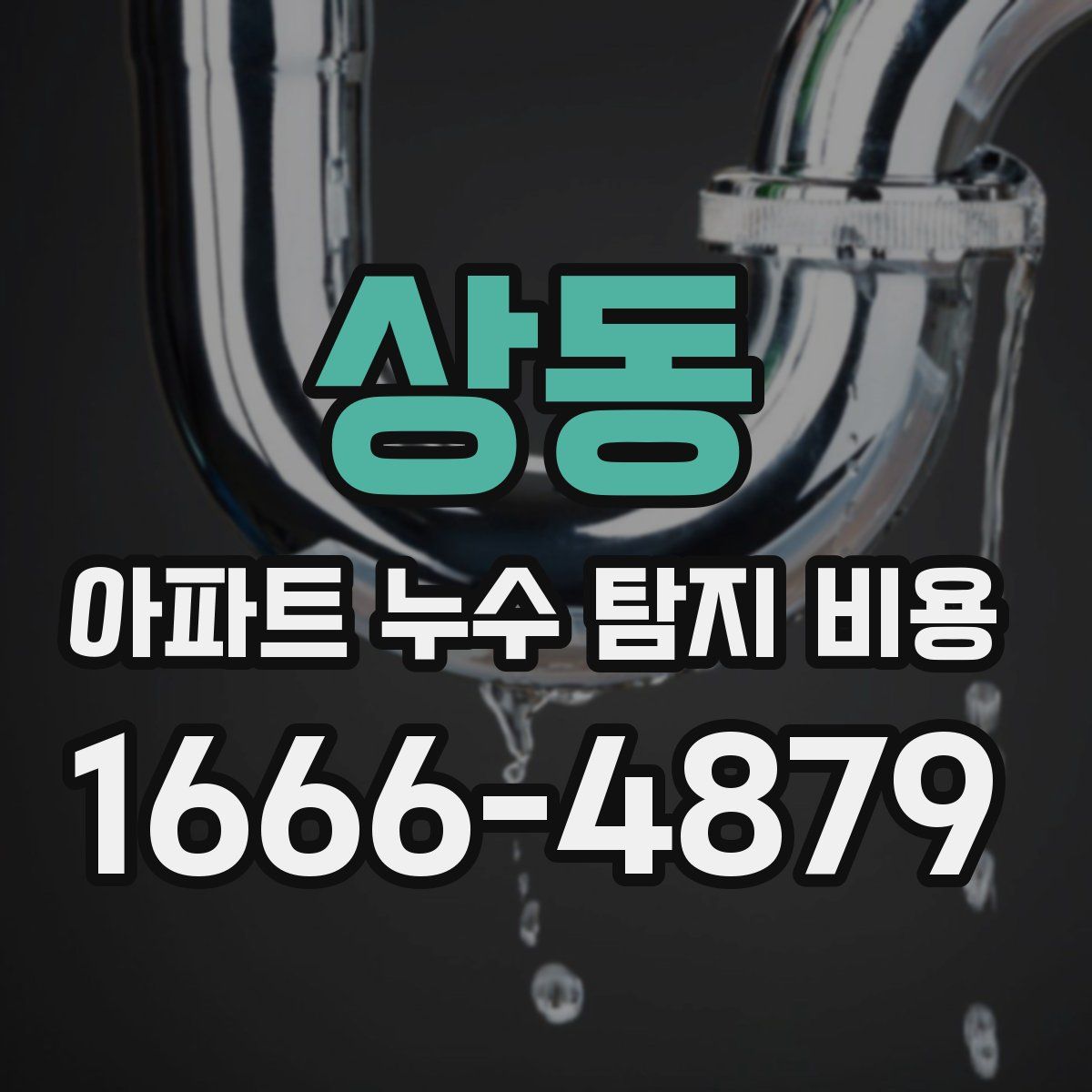 상동 아파트 누수 탐지 비용
