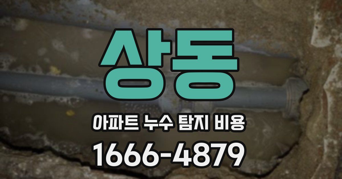 상동 아파트 누수 탐지 비용