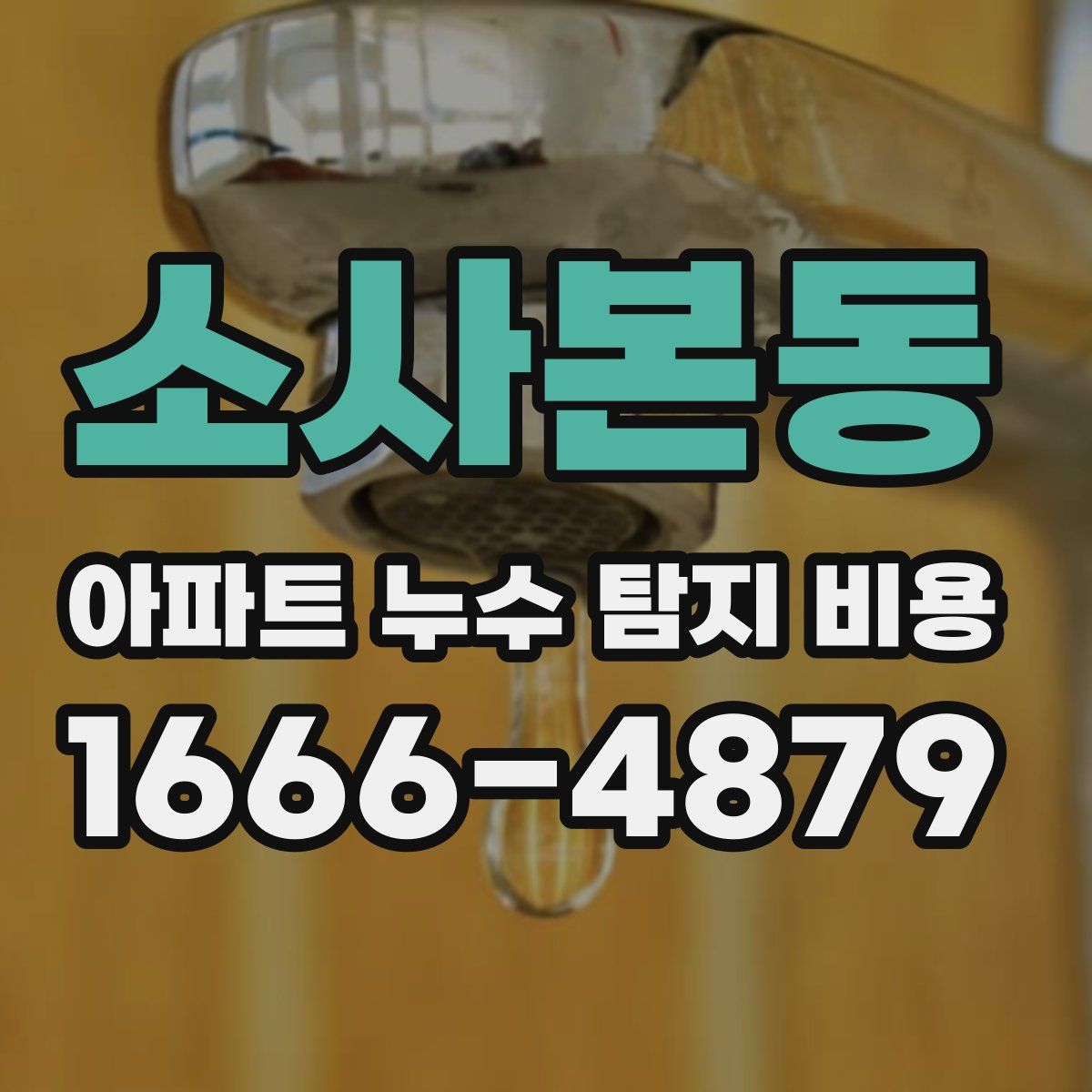 소사본동 아파트 누수 탐지 비용