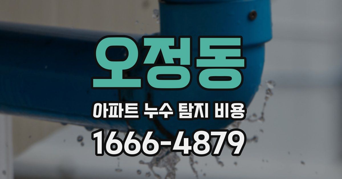 오정동 아파트 누수 탐지 비용