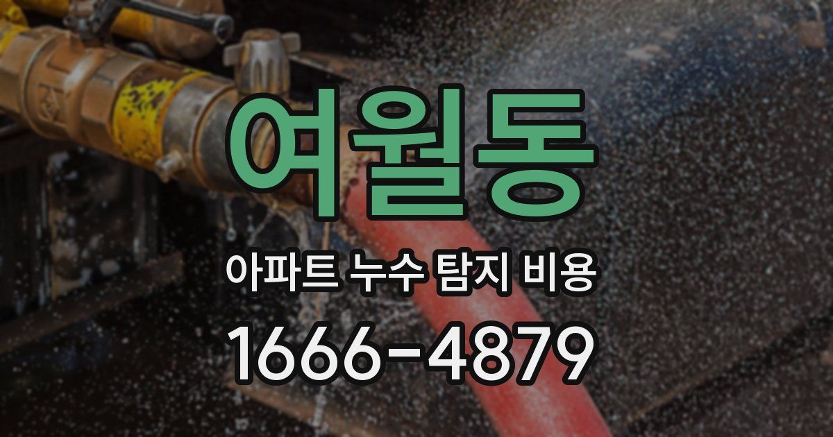 여월동 아파트 누수 탐지 비용