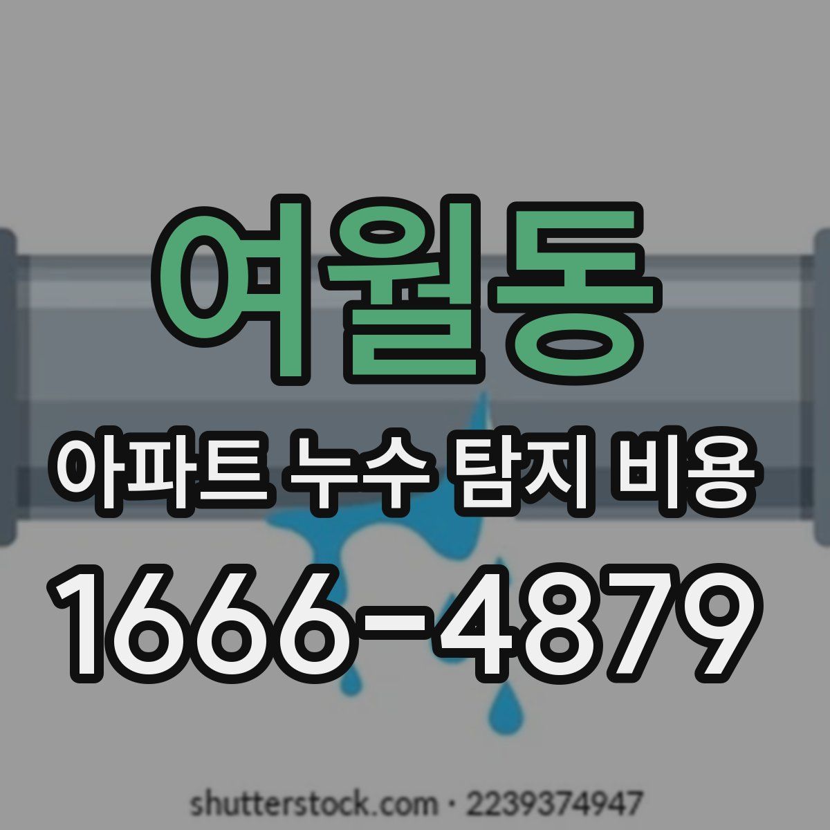 여월동 아파트 누수 탐지 비용