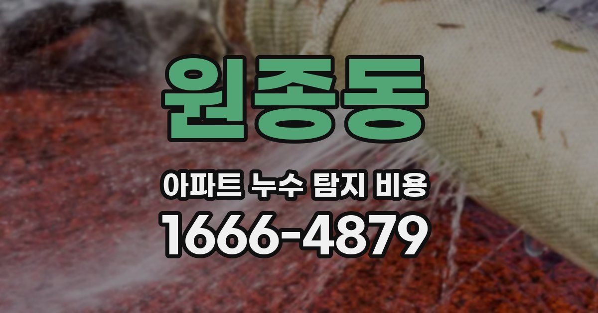 원종동 아파트 누수 탐지 비용