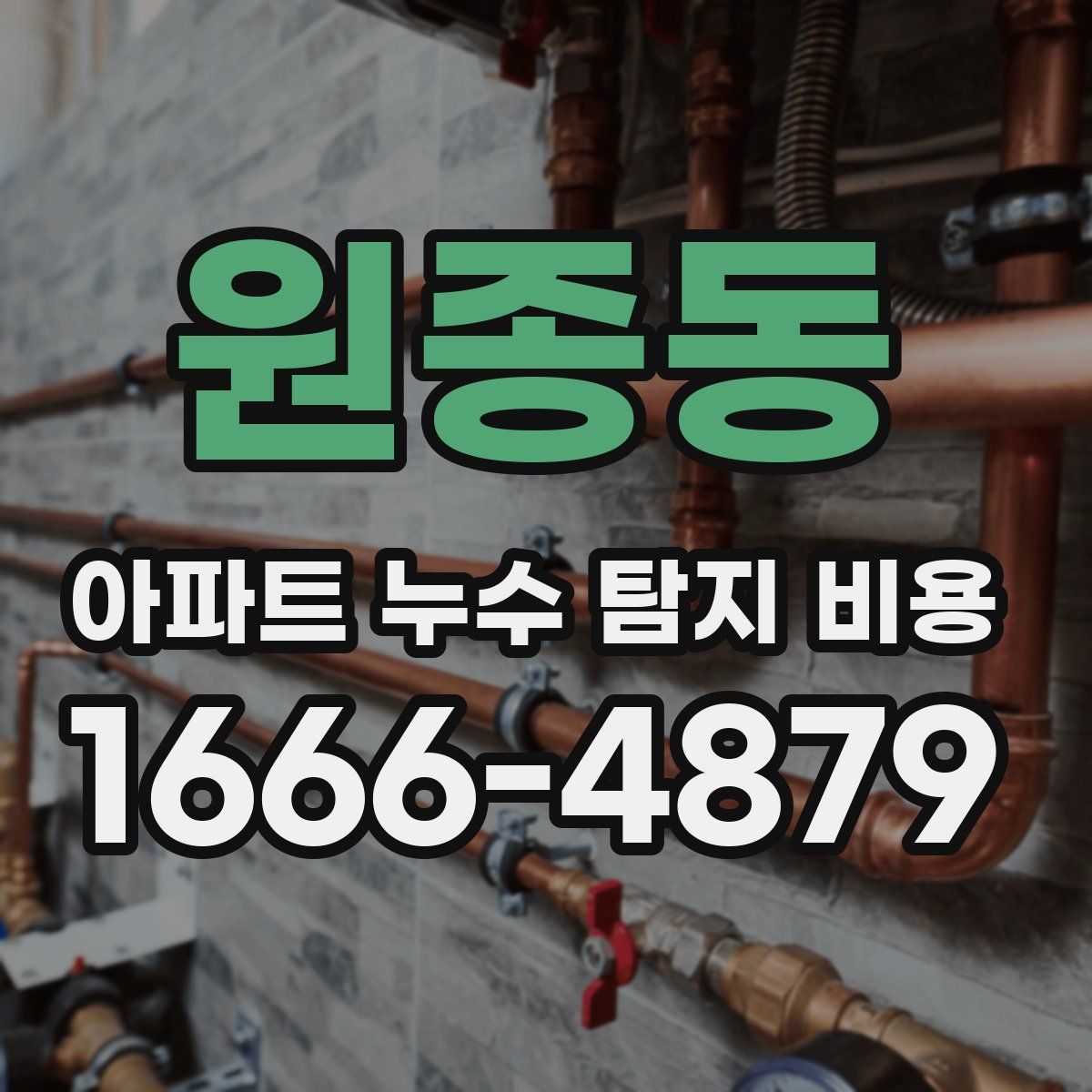 원종동 아파트 누수 탐지 비용
