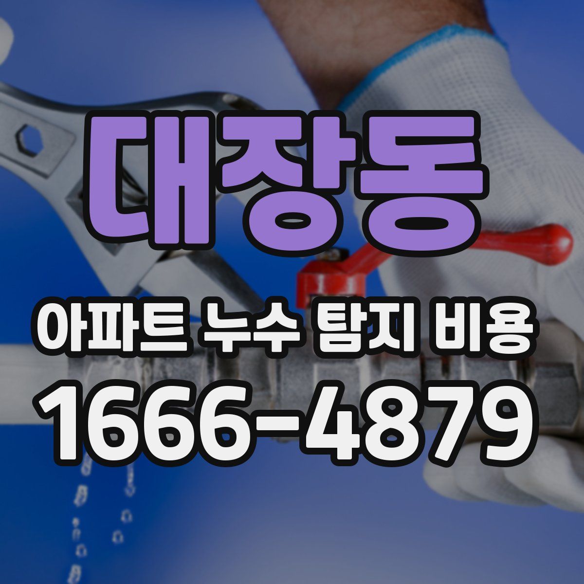 대장동 아파트 누수 탐지 비용