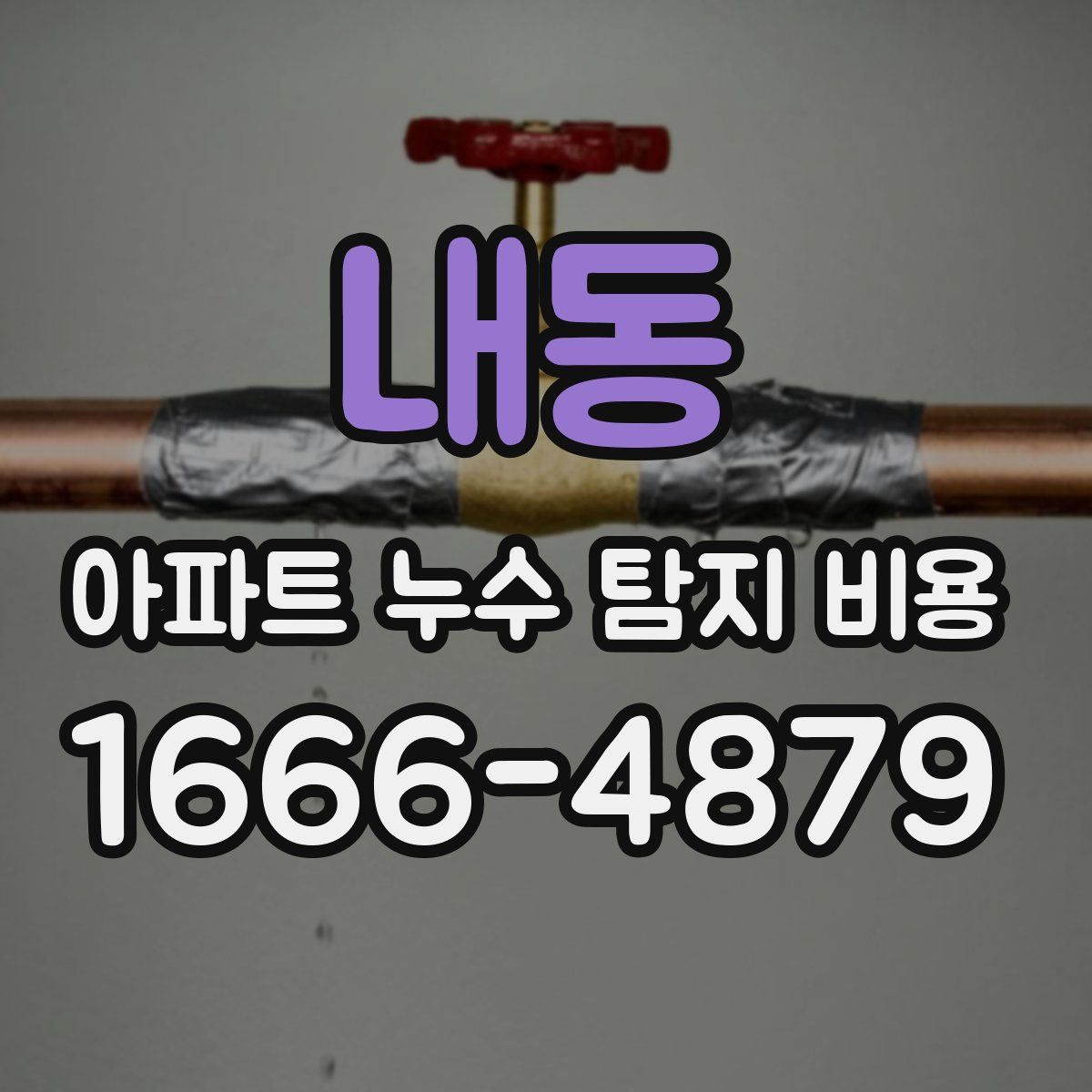 내동 아파트 누수 탐지 비용