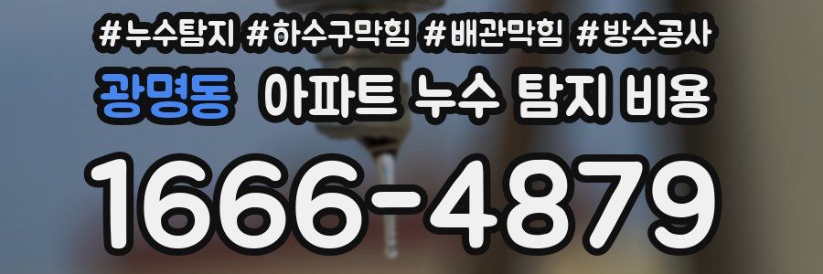 광명동 아파트 누수 탐지 비용