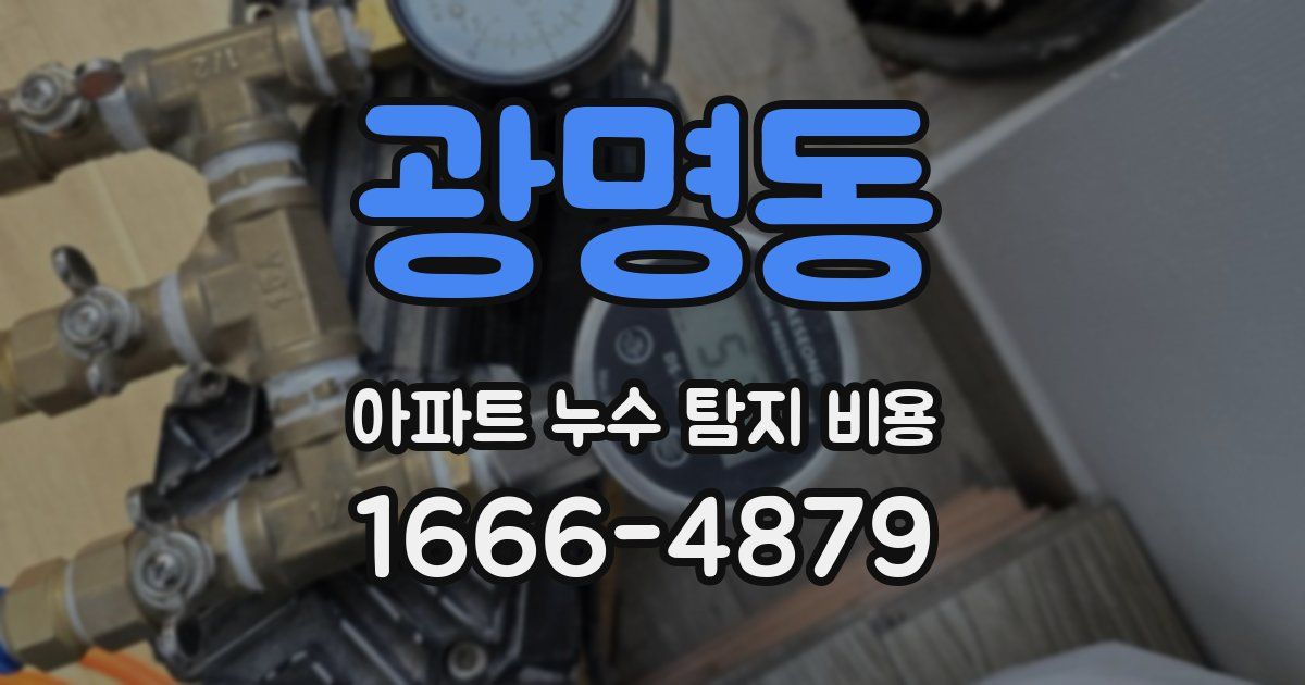광명동 아파트 누수 탐지 비용