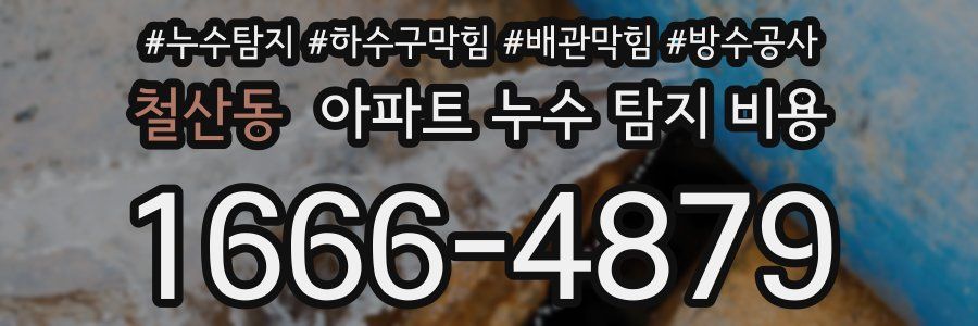 철산동 아파트 누수 탐지 비용