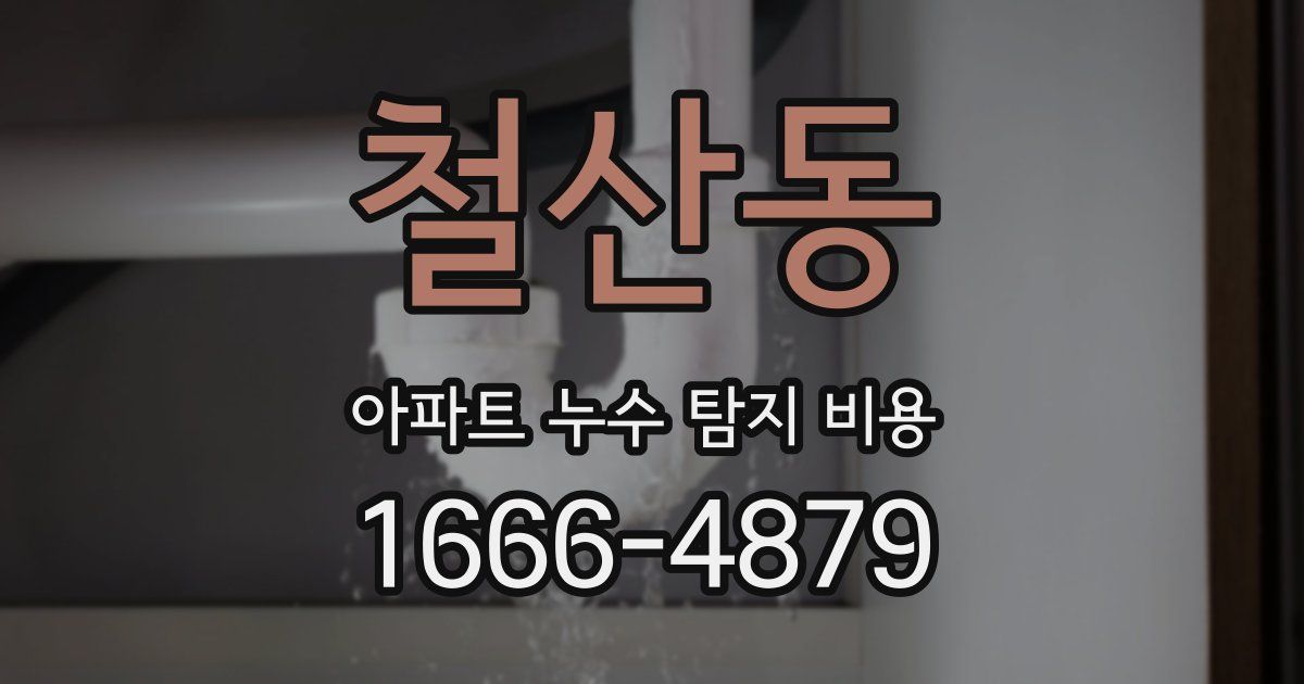 철산동 아파트 누수 탐지 비용