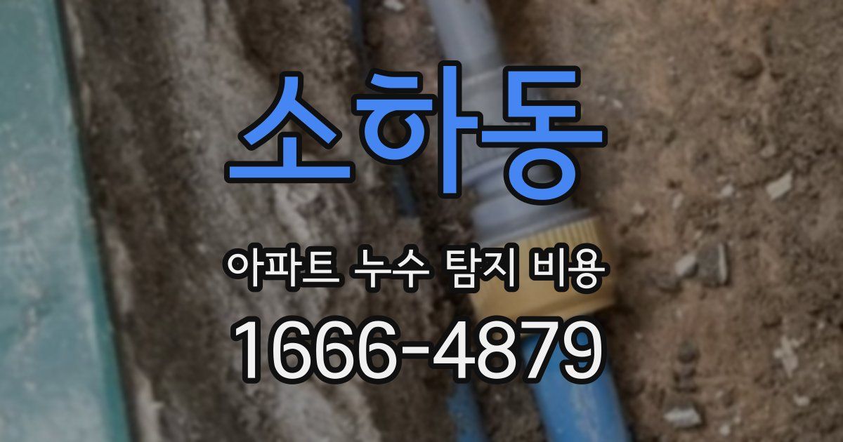 소하동 아파트 누수 탐지 비용