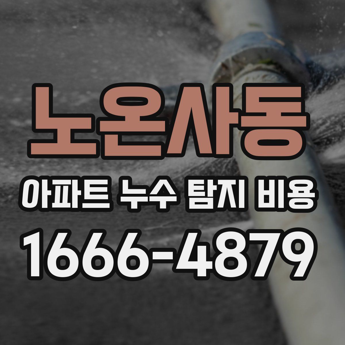 노온사동 아파트 누수 탐지 비용
