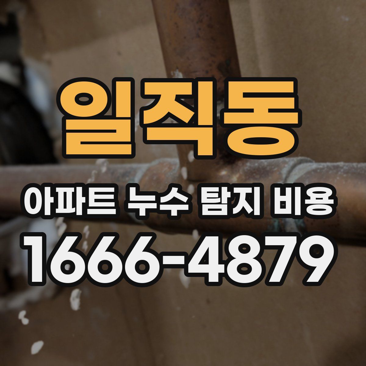 일직동 아파트 누수 탐지 비용