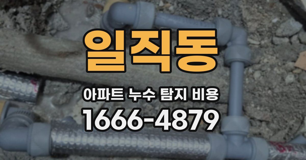 일직동 아파트 누수 탐지 비용
