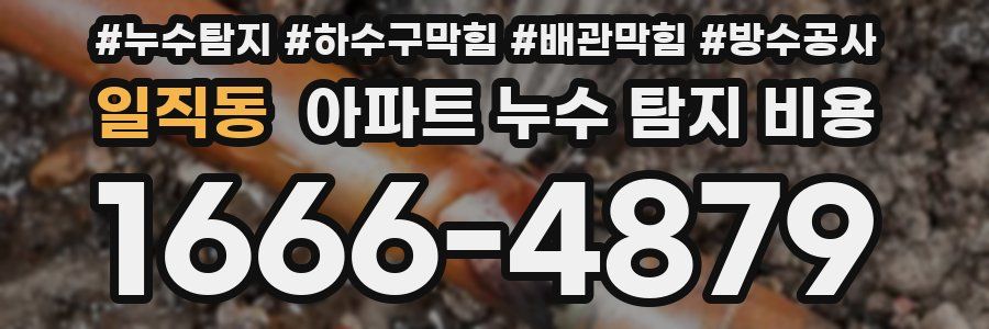 일직동 아파트 누수 탐지 비용
