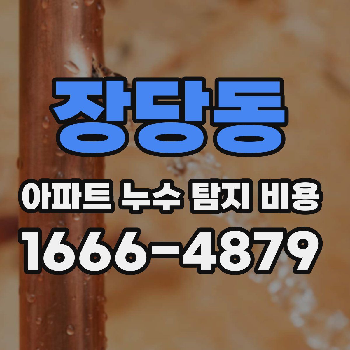장당동 아파트 누수 탐지 비용