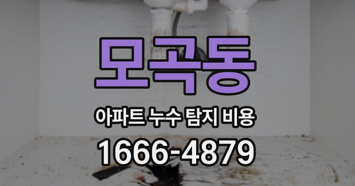 모곡동 아파트 누수 탐지 비용